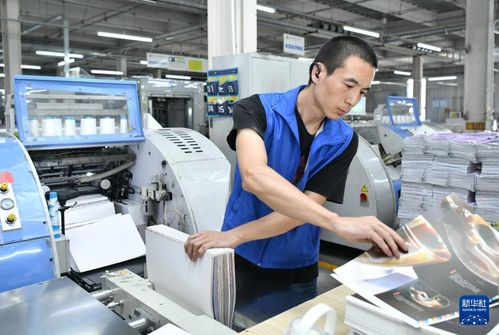 奮進(jìn)強(qiáng)國路 闊步新征程丨河北肅寧 協(xié)同發(fā)展助推圖書印刷產(chǎn)業(yè)壯大